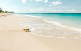 Seven Mile Beach (c) Cayman Islands Department of Tourism